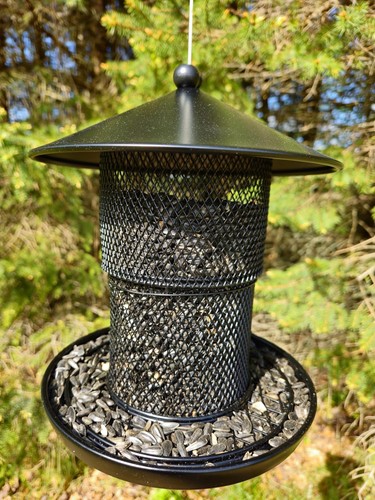 Bird feeder for outdoor - bird,