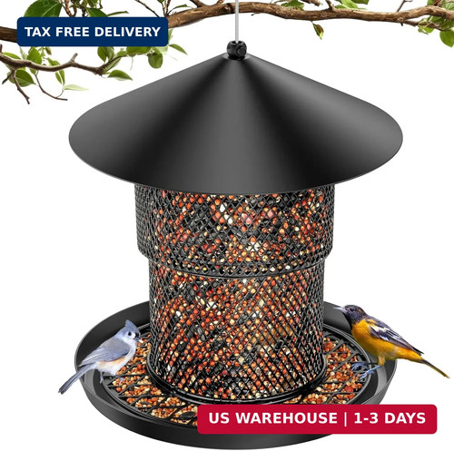 Outdoor hanging bird - outdoor,